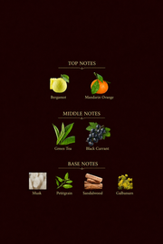 Silver Mountain Water inspired perfume